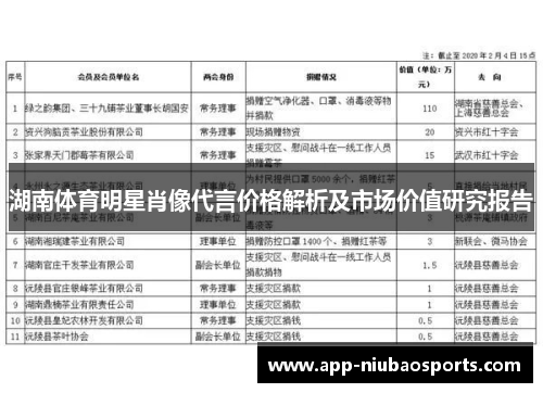 湖南体育明星肖像代言价格解析及市场价值研究报告