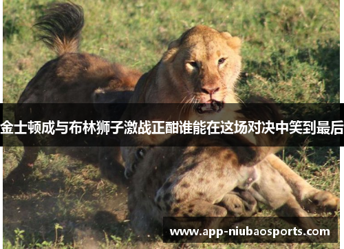 金士顿成与布林狮子激战正酣谁能在这场对决中笑到最后